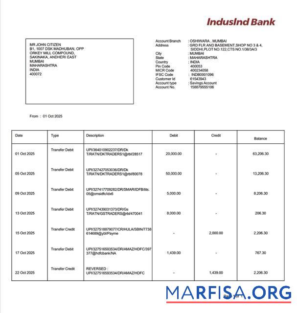 Realistic India IndusInd bank account statement word template